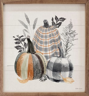 Harvest Classics II Gray Pumpkins By Beth Grove